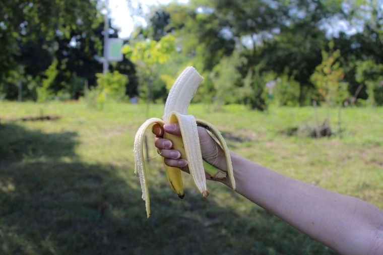 Uno de los mitos más fuertes que existen en la alimentación es que hay que comer banana porque tiene mucho potasio.