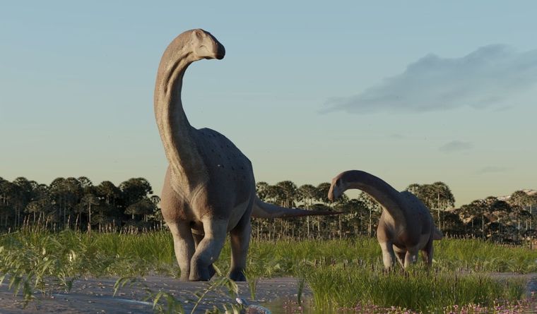 Los dinosaurios siguen ofreciendo sus novedades. Foto: Conicet