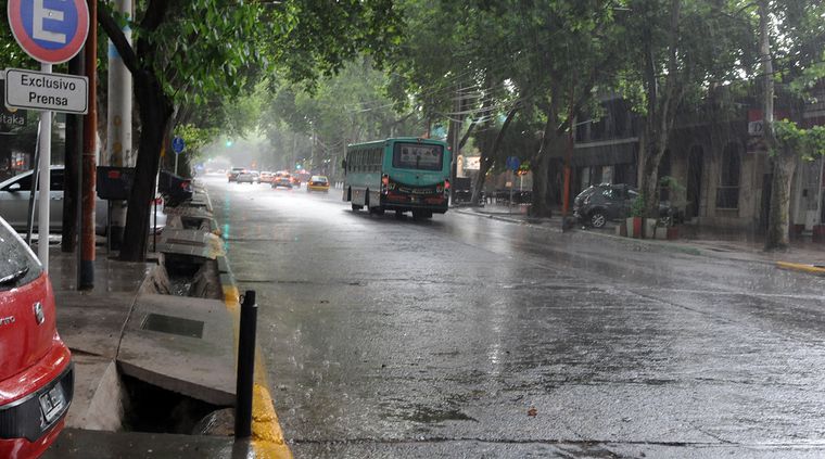 Foto: Alf Ponce / MDZ