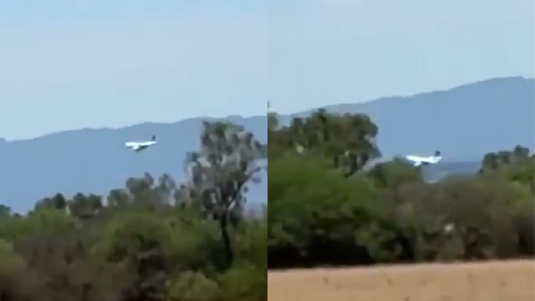 Cayó avioneta con 130 kilos de cocaína en Salta: tenía matrícula boliviana