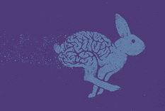 Test de personalidad