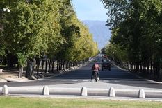 Foto: ALF PONCE MERCADO / MDZ Foto: ALF PONCE MERCADO / MDZ