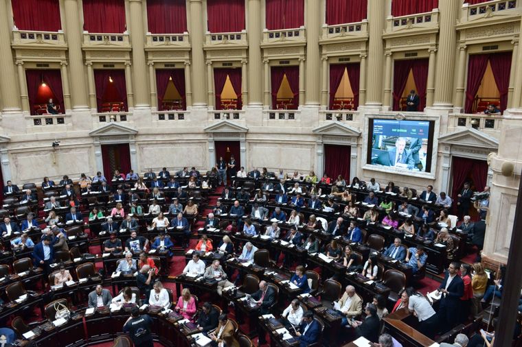 Foto: Twitter @DiputadosAR