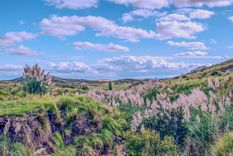 El pueblo de La Carolina fue reconocido entre los más lindos del mundo por su paisaje y arquitectura.