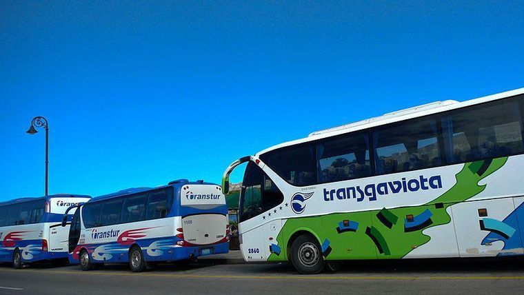 Prácticamente todas las empresas de transporte y servicios turísticos, como Transtur (dependiente de la compañía Cubasol) o Transgaviota (grupo Gaviota), pertenecen en último término a Gaesa.