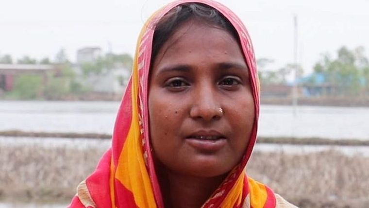 ¿Cómo afecta el cambio climático al bosque de manglar más grande del mundo? Foto: BBC