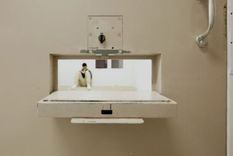 La segregación en solitario es una práctica ampliamente usada en EE. UU.