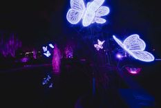 Desde este sábado y durante todo el mes de julio podrá disfrutarse de la muestra “Secret Garden” en el Jardín Botánico de Palermo Foto: Télam Desde este sábado y durante todo el mes de julio podrá disfrutarse de la muestra “Secret Garden” en el Jardín Botánico de Palermo Foto: Télam