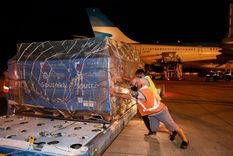 llegaron desde rusia otras 732.500 dosis de la vacuna sputnik v