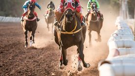 El Hipódromo de Mendoza es una referencia para la provincia. Foto: Foto gentileza José Maluf El Hipódromo de Mendoza es una referencia para la provincia. Foto: Foto gentileza José Maluf