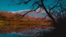 La Laguna del Tesoro se esconde entre cerros y frondosa vegetación Foto: IG @pablo_ferreyralopez