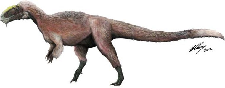 El dinosaurio poseía plumas, pero no podía volar. Foto: El País