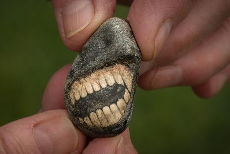 El fósil fue descubierto en la isla de Lindisfarne. El fósil fue descubierto en la isla de Lindisfarne.