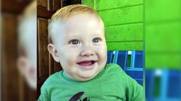 Mateo comió frutos de un ligustro y eso le causó la muerte