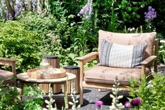 Hay más variedades de plantas que prosperan en entornos soleados que en en patios con sombra. Foto: Jacky Hobbs/Future