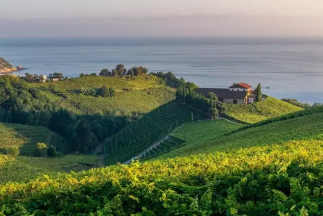 Los vinos de España en la Argentina. Los vinos de España en la Argentina.
