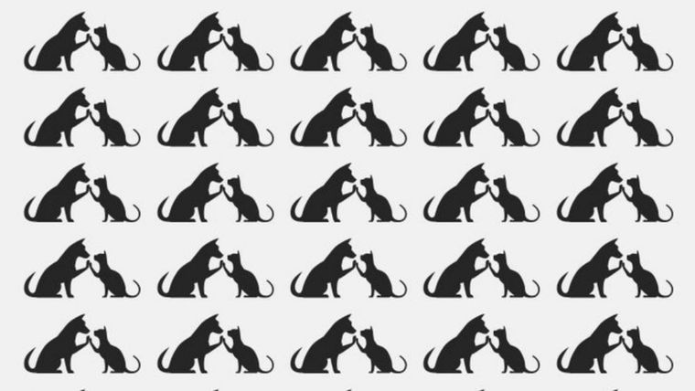 ACERTIJO VISUAL ACERTIJO VISUAL, RETO VISUAL, ANIMALES Foto: ARCHIVO