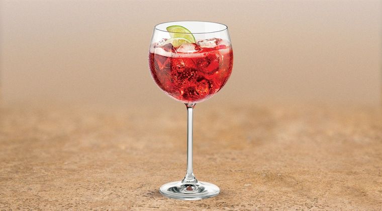 Te presentamos el trago del verano.