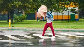 Un sueño recurrente. Foto: Fuente: Shutterstock