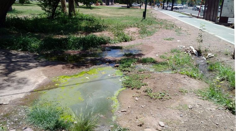 Foto: ALF PONCE MERCADO / MDZ