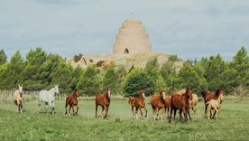 La provincia de Buenos Aires esconde rincones poco transitados que invitan a combinar historia, naturaleza y cultura en entornos únicos.