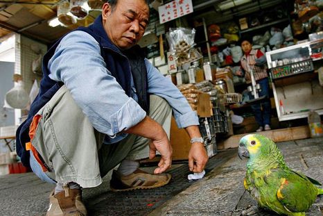 La sentadilla asiática es una sentadilla profunda o completa que se usa con frecuencia como posición de descanso en Asia, partes de Europa y África La sentadilla asiática es una sentadilla profunda o completa que se usa con frecuencia como posición de descanso en Asia, partes de Europa y África