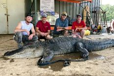 El cuerpo del animal cazado por John Hamilton. Foto: PeriodistaDigital.