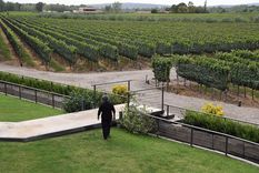 Desde ProMendoza se impulsa la llegada de inversión extranjera a la provincia, apalancadas en las garantías institucionales que ofrece la provincia. Foto: ALF PONCE MERCADO / MDZ