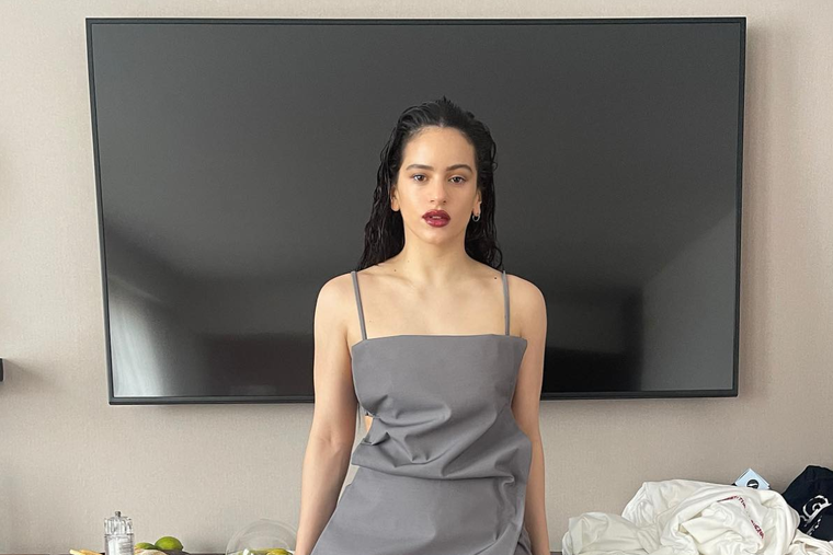 Estos son los bolsos favoritos de Rosalía, la increíble cantante española. Foto: INSTAGRAM @rosalia.vt