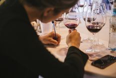 los vinos con los mejores puntajes... ¿son los mejores?