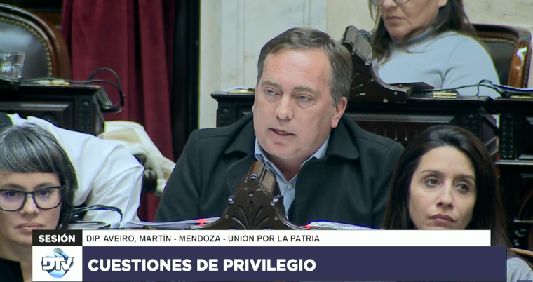 El diputado nacional Martín Aveiro. Foto: Captura de pantalla