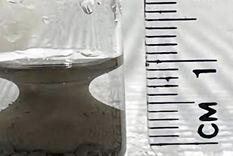 Raykh y sus colegas descubrieron que las partículas fuertemente magnetizadas pueden alterar las leyes de la termodinámica. Foto: Dpa.