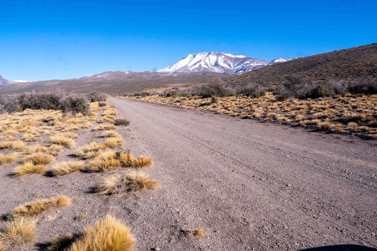 Ruta Castillos de Pincheira-Paso del Carqueque en Malargüe.