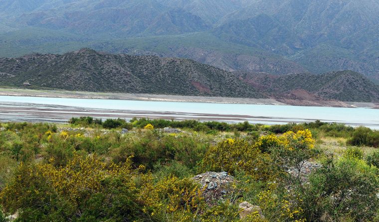 La IA destacó Mendoza como la mejor ciudad.