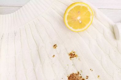 MDZol | Manchas Foto: thespruce.com