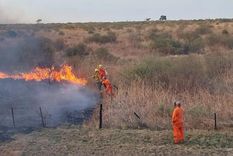 Dos de los bomberos quedaron internados en el Instituto del Quemado de la ciudad de Córdoba debido a las heridas recibidas en el incendio de la autopista. Foto: Ariel Zalio