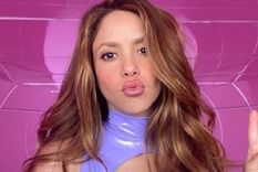 Cómo fue la charla de Shakira con uno de sus ex para volver a estar cerca en el futuro