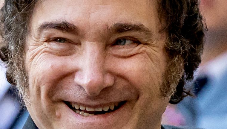 La imagen del presidente luego de la aprobación de la Ley Bases Foto: EFE.