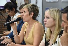 La ministra de Energía y Ambiente, Jimena Latorre, asistió a la Legislatura Foto: Prensa Gobierno de Mendoza