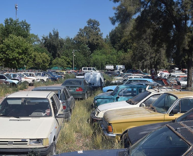 Foto: Municipalidad de Godoy Cruz.