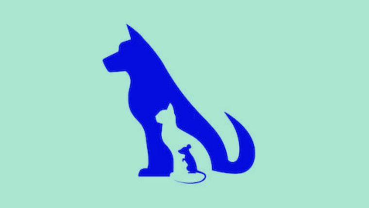 Test de personalidad