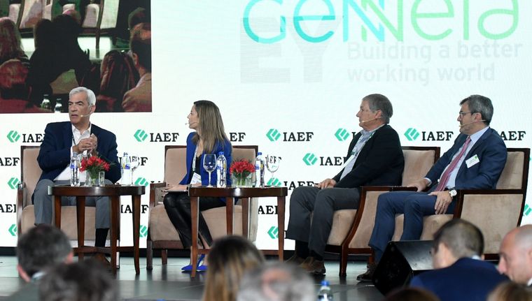 El presidente Milei tendrá un público favorable en la convención del IAEF Foto: Rodrigo DAngelo / MDZ