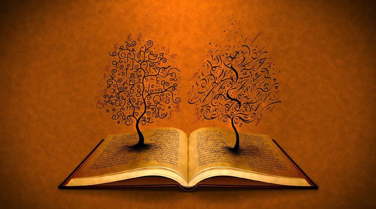 Foto: vladstudio.com