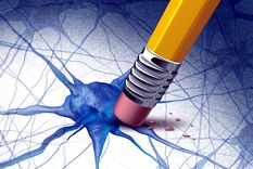 mendocinos y alzheimer: no podes desconocer esta informacion basica