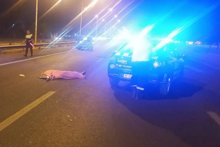 Foto: Policía de Mendoza