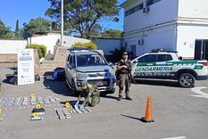 El cargamento de cocaína secuestrado en Catamarca y que tenía Mendoza como destino.&nbsp;