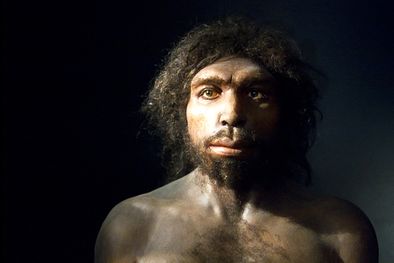 MDZol | Foto: science.com