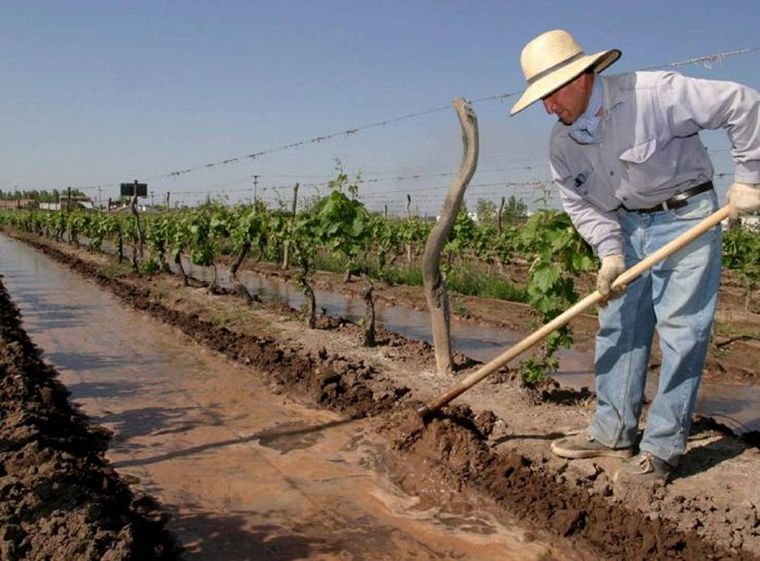 Esta extensión aplica únicamente a la cobertura por granizo. Foto: Gobierno de Mendoza