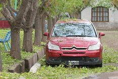 Las tormentas estarán acompañadas por ráfagas, actividad eléctrica y posible caída de granizo.