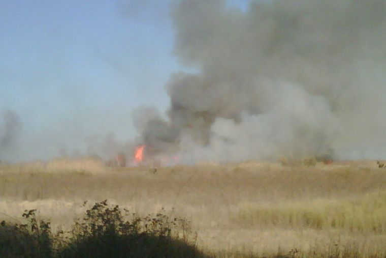 Todos los incendios se produjeron en campos.